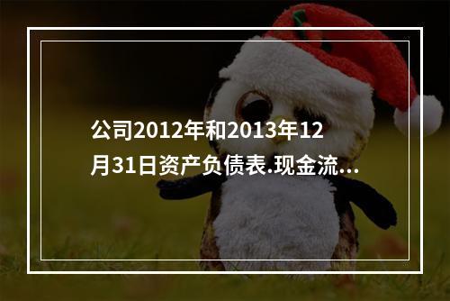 公司2012年和2013年12月31日资产负债表.现金流量