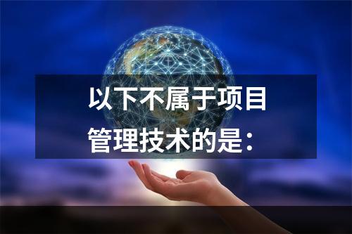 以下不属于项目管理技术的是：