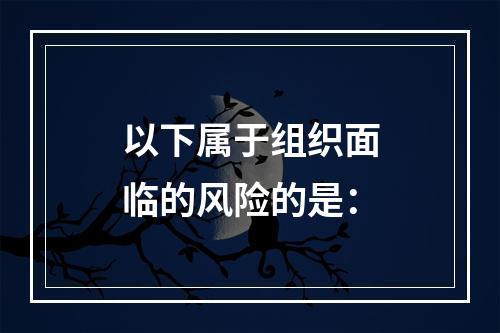 以下属于组织面临的风险的是：