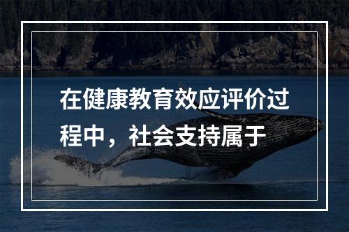 在健康教育效应评价过程中，社会支持属于