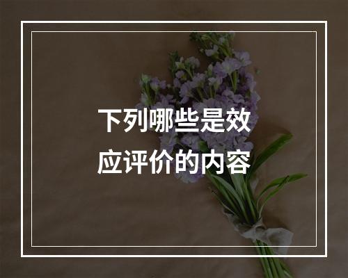 下列哪些是效应评价的内容