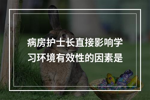 病房护士长直接影响学习环境有效性的因素是