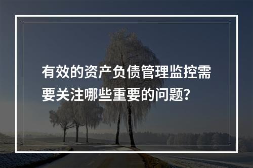 有效的资产负债管理监控需要关注哪些重要的问题？