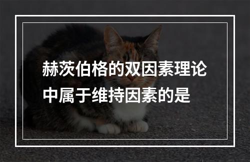 赫茨伯格的双因素理论中属于维持因素的是