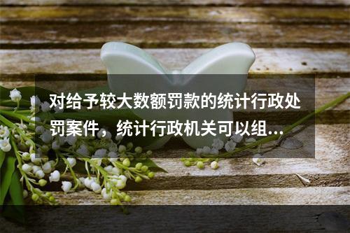 对给予较大数额罚款的统计行政处罚案件，统计行政机关可以组织听