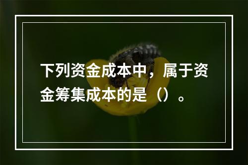 下列资金成本中，属于资金筹集成本的是（）。