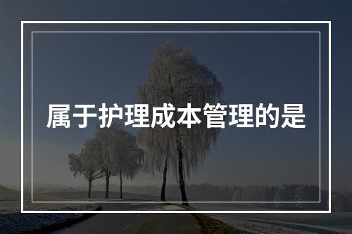 属于护理成本管理的是