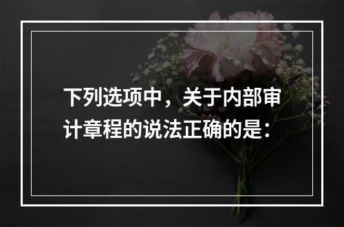 下列选项中，关于内部审计章程的说法正确的是：