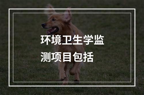 环境卫生学监测项目包括