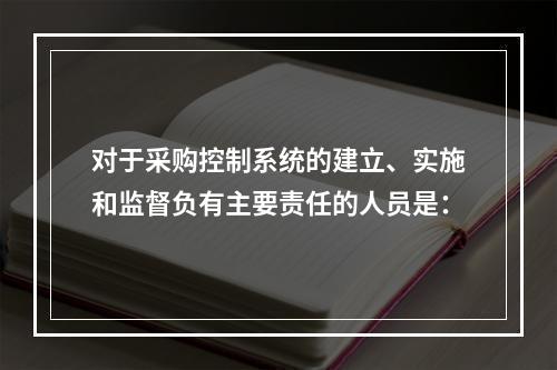 对于采购控制系统的建立、实施和监督负有主要责任的人员是：