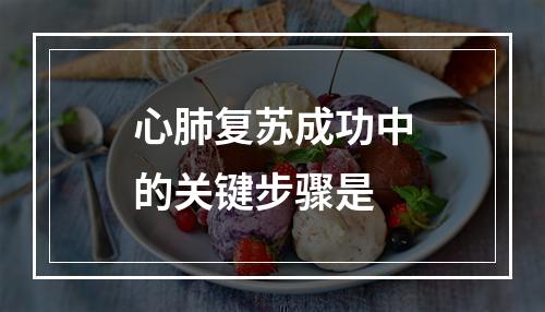 心肺复苏成功中的关键步骤是