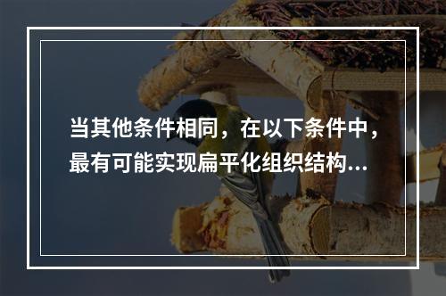 当其他条件相同，在以下条件中，最有可能实现扁平化组织结构的是