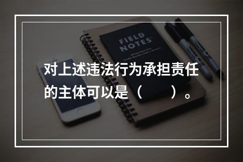 对上述违法行为承担责任的主体可以是（　　）。