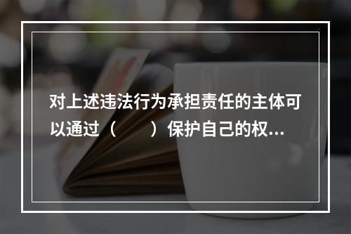 对上述违法行为承担责任的主体可以通过（　　）保护自己的权益。