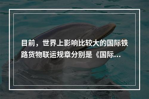 目前，世界上影响比较大的国际铁路货物联运规章分别是《国际铁路