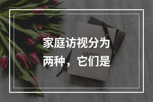 家庭访视分为两种，它们是