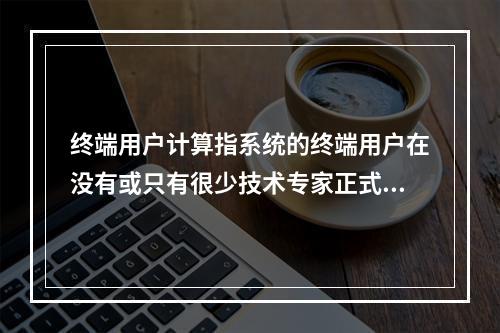 终端用户计算指系统的终端用户在没有或只有很少技术专家正式协助