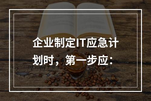 企业制定IT应急计划时，第一步应：