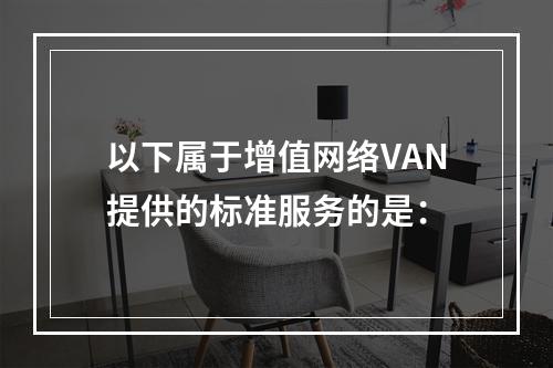 以下属于增值网络VAN提供的标准服务的是：