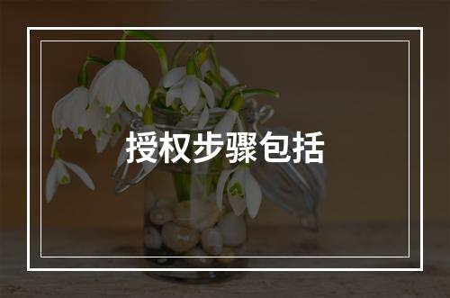 授权步骤包括