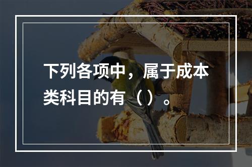 下列各项中，属于成本类科目的有（ ）。