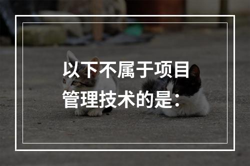 以下不属于项目管理技术的是：