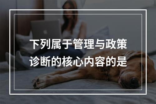 下列属于管理与政策诊断的核心内容的是