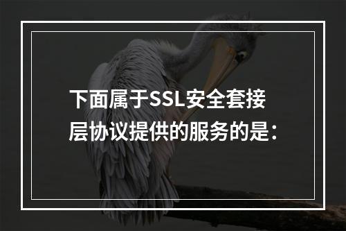 下面属于SSL安全套接层协议提供的服务的是：