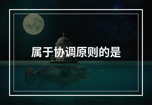 属于协调原则的是