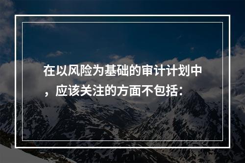 在以风险为基础的审计计划中，应该关注的方面不包括：