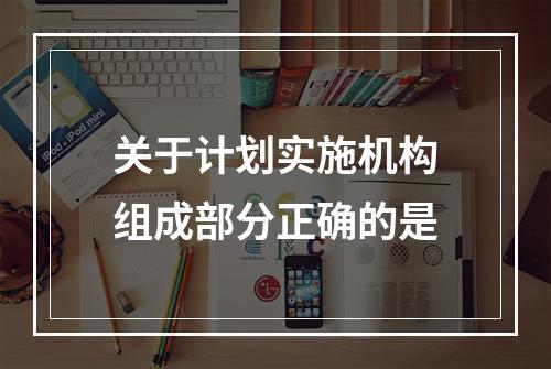 关于计划实施机构组成部分正确的是