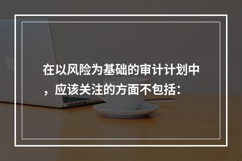 在以风险为基础的审计计划中，应该关注的方面不包括：