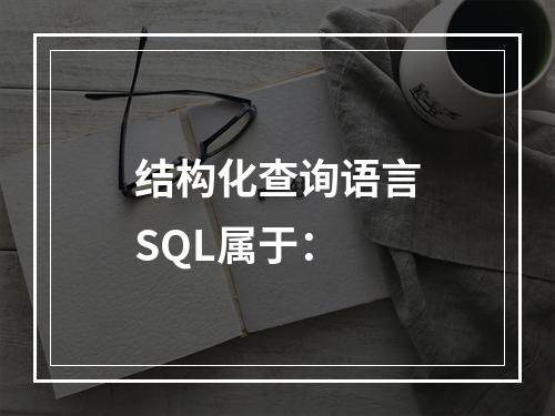 结构化查询语言SQL属于：