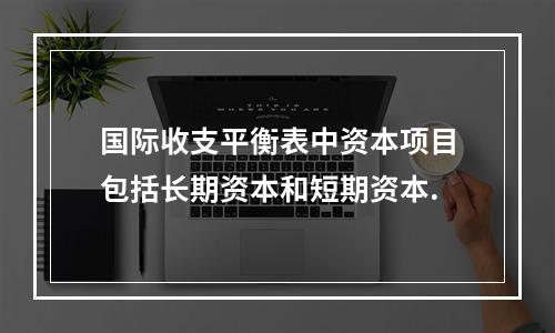 国际收支平衡表中资本项目包括长期资本和短期资本.