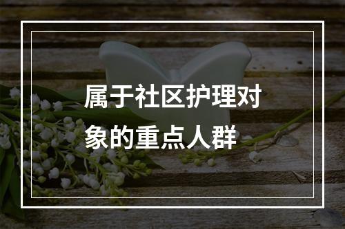 属于社区护理对象的重点人群