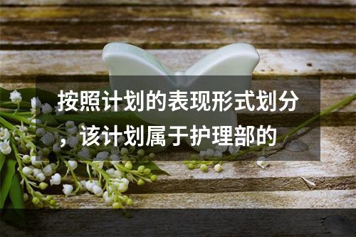 按照计划的表现形式划分，该计划属于护理部的