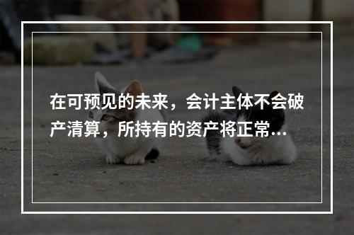 在可预见的未来，会计主体不会破产清算，所持有的资产将正常营运