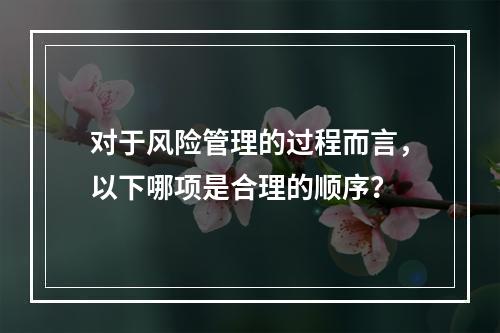 对于风险管理的过程而言，以下哪项是合理的顺序？