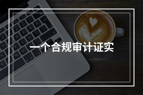 一个合规审计证实