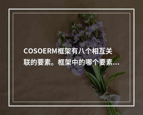 COSOERM框架有八个相互关联的要素。框架中的哪个要素识别