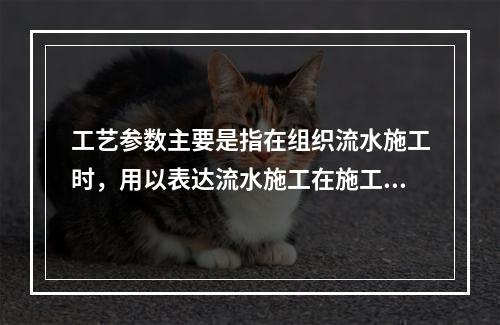 工艺参数主要是指在组织流水施工时，用以表达流水施工在施工工艺