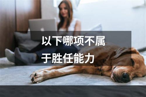 以下哪项不属于胜任能力