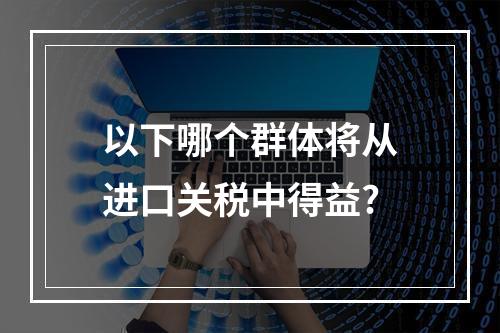 以下哪个群体将从进口关税中得益?