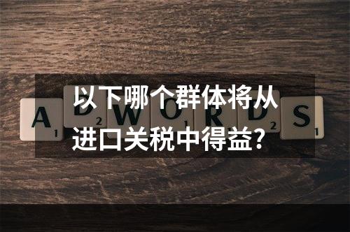 以下哪个群体将从进口关税中得益?