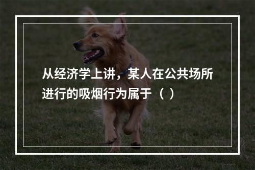 从经济学上讲，某人在公共场所进行的吸烟行为属于（  ）