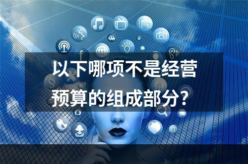 以下哪项不是经营预算的组成部分?