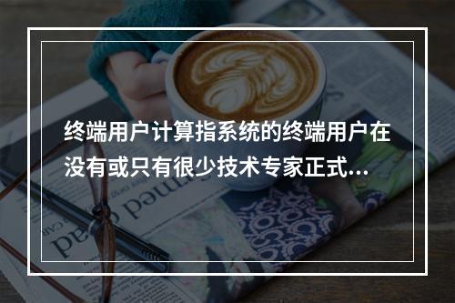 终端用户计算指系统的终端用户在没有或只有很少技术专家正式协助