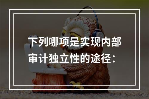 下列哪项是实现内部审计独立性的途径：