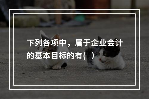 下列各项中，属于企业会计的基本目标的有(   ）