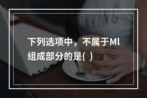 下列选项中，不属于Ml组成部分的是(  )